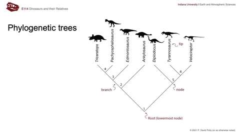 Thumbnail for entry Lecture 15 (Oct 19) - Phylogeny and evolutionary trees