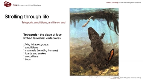 Thumbnail for entry Lecture 12 () - Strolling through life: locomotion in the first tetrapods