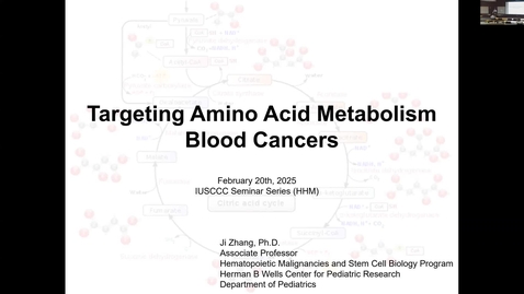 Thumbnail for IUSCCC Seminar 2/20/2025: &quot;Targeting Amino Acid Metabolism in Blood Cancers&quot; Ji Zhang, PhD Assistant Professor of Pediatrics, Department of Pediatric IU School of Medicine