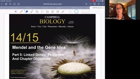 Thumbnail for K101_Ch14:Part5_LinkagePedigrees