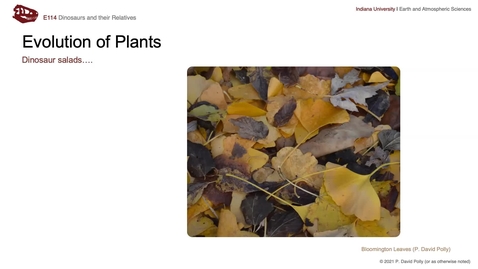 Thumbnail for Lecture 20 (Nov 9) - Plant evolution
