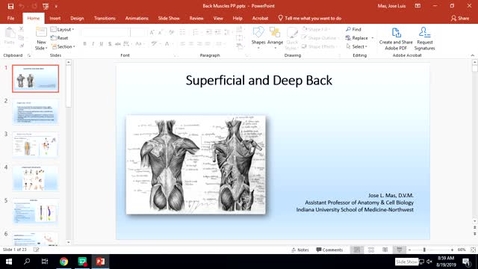 Thumbnail for Superficial Back Muscles-IUSM-NW-G-08/19/19