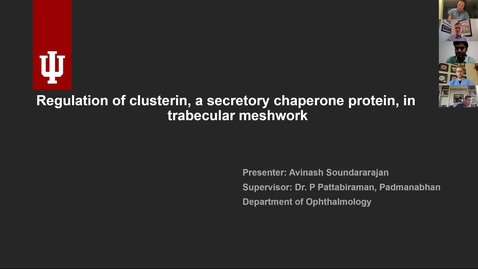 Thumbnail for entry Regulation of clusterin, a secretory chaperone protein, in trabecular meshwork