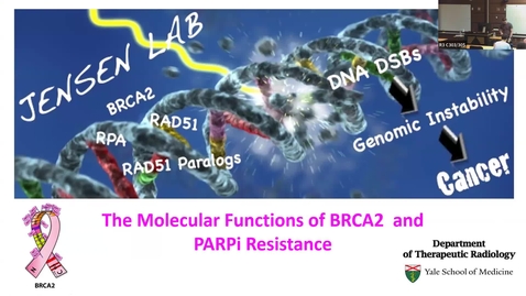Thumbnail for IUSCCC Seminar 10/3/2024: “The Molecular Functions of BRCA2 and PARPi Resistance” Ryan Jensen, PhD, Associate Professor of Therapeutic Radiology &amp; Pathology Yale School of Medicine