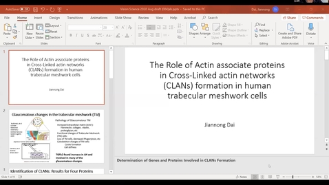 Thumbnail for The Role of Actin associate proteins in Cross-Linked Actin Networks (CLANs) formation in human trabecular meshwork cells