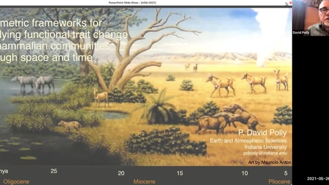 Thumbnail for Ecometric frameworks for studying functional trait change in mammalian communities through space and time (American Society of Mammalogists 2021)