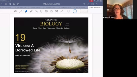 Thumbnail for K101_Ch19:Part1_VIruses