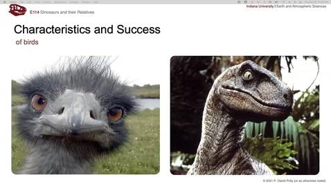Thumbnail for entry Lecture 17 (Oct 28) - Characteristics and success of birds
