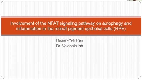 Thumbnail for entry Involvement of the NFAT signaling pathway on autophagy and inflammation in retinal pigment epithelial (RPE) cells