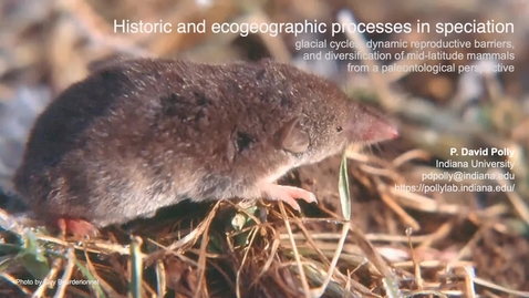 Thumbnail for Historic and ecogeographic processes in speciation (Evolution 2021)