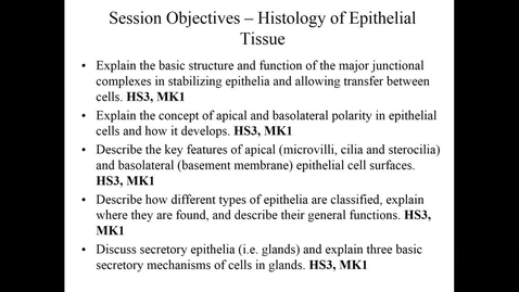 Thumbnail for entry IUSM WL - HS Histology of Connective Tissue 1 - 170822 - Turek