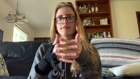 Thumbnail for America.MOV