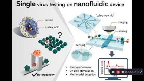 Thumbnail for 2021-Mi Zhang - &quot;Single virus testing on Nanofluidic device”