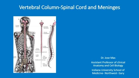 Thumbnail for entry  IUSM-NW-HS-G 08/21/19 Vertebral Column Spinal Cord and Meninges