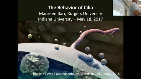 Thumbnail for Biology_Seminar_Barr_20170518.mp4