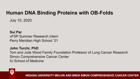 Thumbnail for Sui Par Mentor Presentation