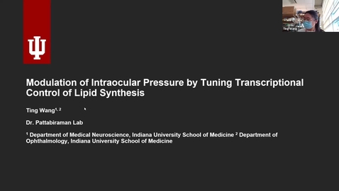 Thumbnail for SNRI Seminar Series: Ting Wang