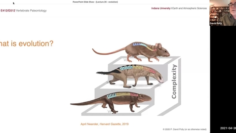 Thumbnail for entry Lecture 26 - What is evolution?