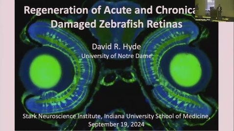 Thumbnail for SNRI Seminar Series: David Hyde, PhD | September 19, 2024