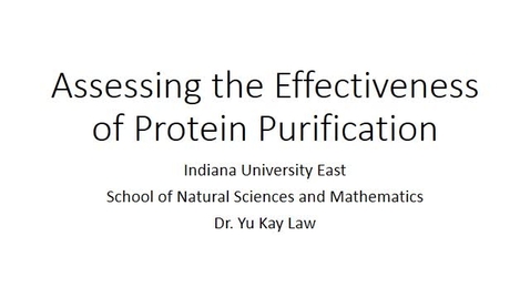 Thumbnail for Assessing the Effectiveness of Protein Purification