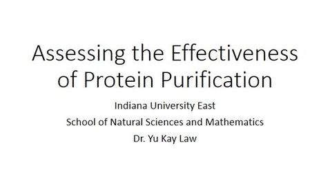 Thumbnail for entry Assessing the Effectiveness of Protein Purification