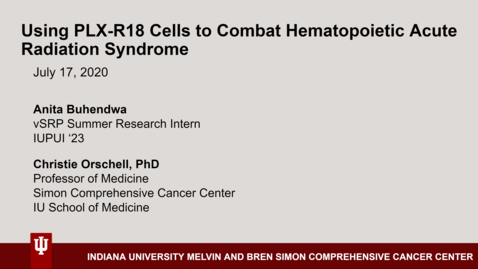 Thumbnail for Anita Buhendwa Mentor Presentation