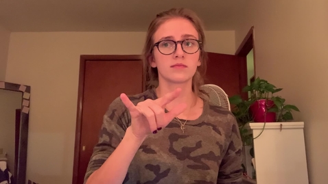 Thumbnail for airplane vs fly.MOV