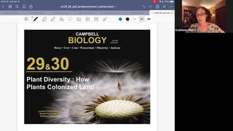 Thumbnail for K101_Ch29_Bryophytes_Pteridophytes