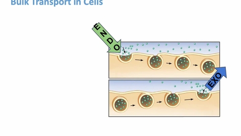 Thumbnail for BIOL-L100 Bulk Transport of Molecules