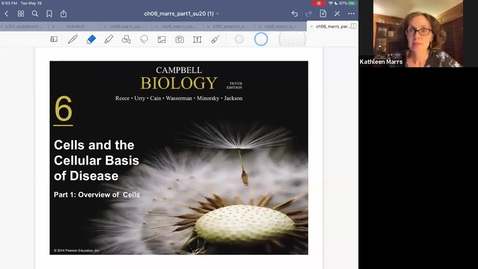 Thumbnail for K101_Ch6:Cells_Part1