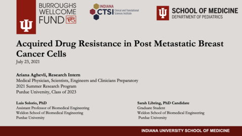 Thumbnail for Aghevli, Ariana