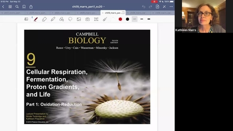 Thumbnail for K101_Ch9:Part1_Oxidation:Reduction