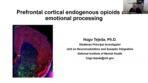 Thumbnail for SNRI Seminar Series - Hugo Tejeda