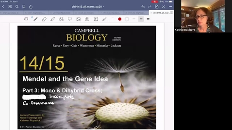 Thumbnail for K101_Ch14:Part3_Dihybrid_Incomplete_Codominance