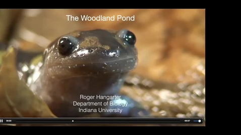 Thumbnail for &quot;The Woodland Pond&quot; - Dr. Roger Hangarter (IU Biology)