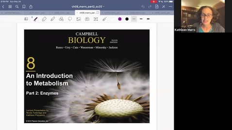 Thumbnail for K101_Ch8:Part2_Enzymes