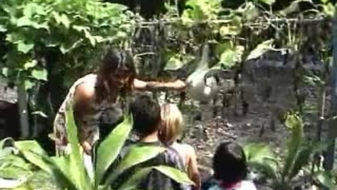 Thumbnail for Growing a Seed 3 S4_4 (Converted)