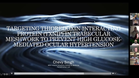 Thumbnail for Targeting Thioredoxin-Interacting Protein (TXNIP) in the trabecular meshwork