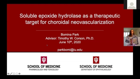Thumbnail for Soluble epoxide hydrolase as a therpeutic target for choroidal neovascularization