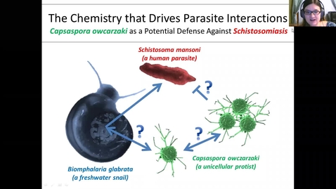 Thumbnail for Chemistry that Drives Parasite Interactions