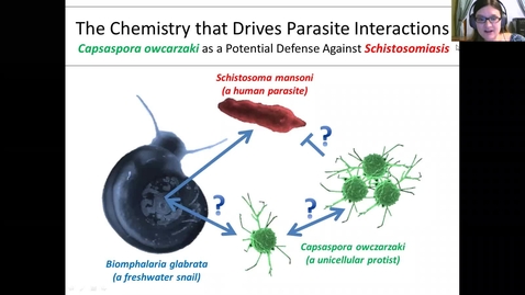 Thumbnail for entry Chemistry that Drives Parasite Interactions