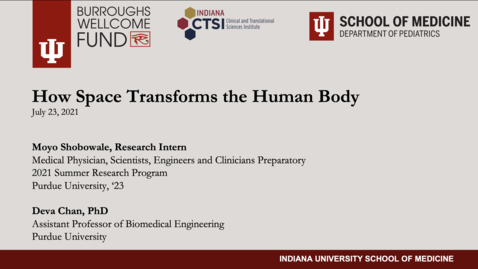 Thumbnail for Shobowale, Moyo