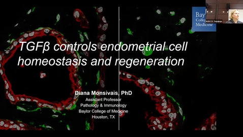 Thumbnail for entry IUSCCC Seminar 2/1/2024: “TGFβ signaling controls endometrial cell homeostasis and regeneration” Diana Monsivais, Ph.D., Assistant Professor, Pathology and Immunology, Baylor College of Medicine