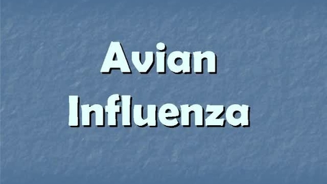 Thumbnail for Legal Division &gt; Don Allen: Attorney General’s Office and Deputy Legal Counsel &gt; Emergency Management &gt; Interagency Working Group, 2006-2007 &gt; Michigan Avian Influenza Interagency Working Group
