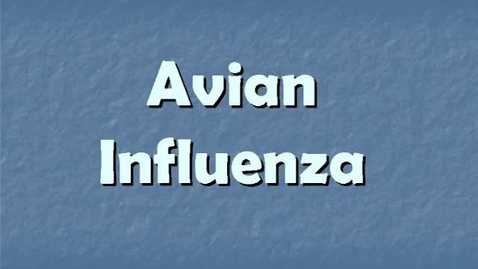 Thumbnail for entry Legal Division &gt; Don Allen: Attorney General’s Office and Deputy Legal Counsel &gt; Emergency Management &gt; Interagency Working Group, 2006-2007 &gt; Michigan Avian Influenza Interagency Working Group