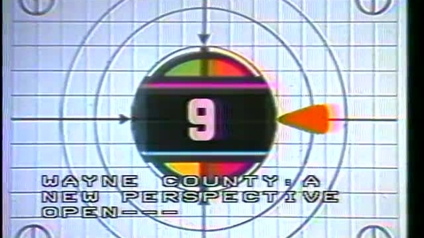 Thumbnail for Wayne County: A New Perspective - Kids, Courts, and Crime
