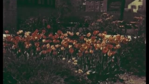 Thumbnail for Garden
