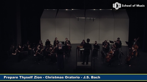 Thumbnail for Chamber Orchestra - A Picturesque Evening