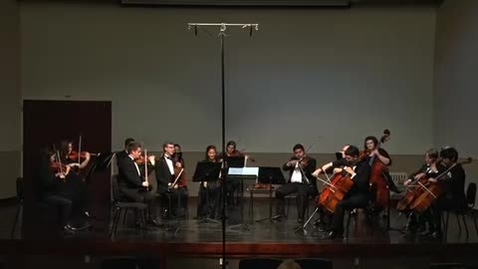 Thumbnail for Chamber Orchestra