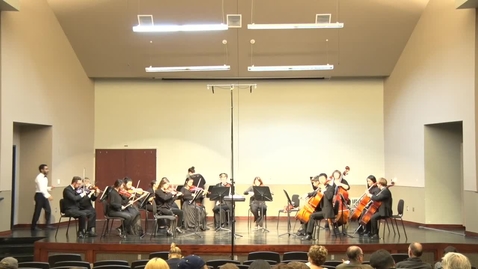 Thumbnail for Chamber Orchestra 11/20